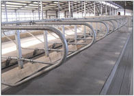 3mm Grubość ocynkowana Krowa Wolne miejsce dla gospodarstw mlecznych krowy