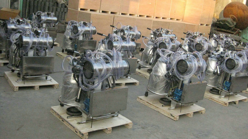 Chuangpu Animal Husbandry Technology (Suzhou) Co., Ltd. manufacturer production line