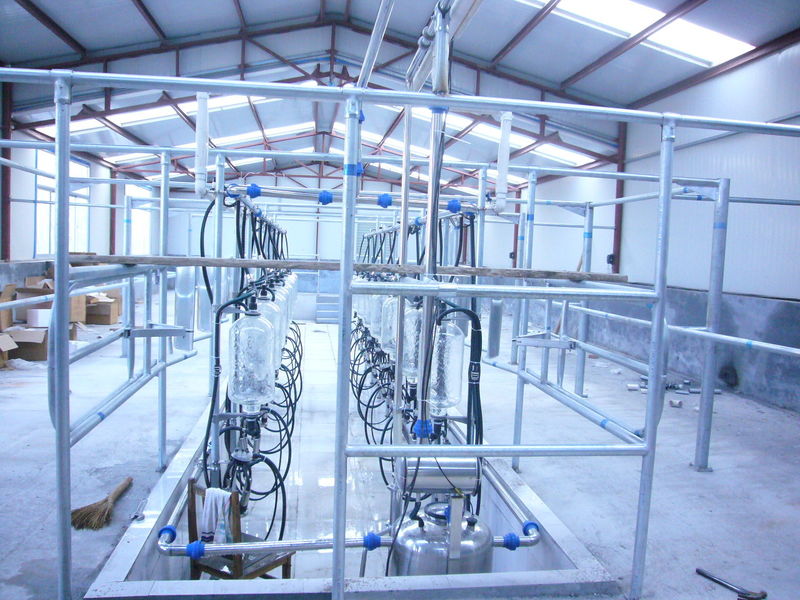Chuangpu Animal Husbandry Technology (Suzhou) Co., Ltd. manufacturer production line
