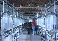 Cynkowana galaretowata mleczarnia Farma dojenia Jodełkowa klatka do dojenia z osłoną przeciwbryzgową